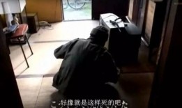 孤独死在线观看,在线观看背后的真实故事