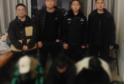 警察爆料洗钱案件视频大全,警察爆料案件视频大全深度解析