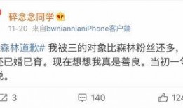 微博吃瓜网红偷东西被抓,微博吃瓜群众揭露偷窃网红被捕真相