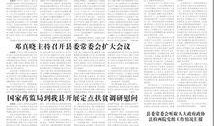 临泉新闻爆料,揭秘当地热点事件背后的真相