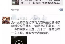 茶叶爆料视频大全集播放,揭秘茶叶界的秘密与传奇
