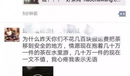 茶叶爆料视频大全集播放,揭秘茶叶界的秘密与传奇