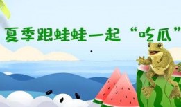 网红蛙吃瓜群众,网络红人的崛起与影响