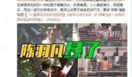 傅国平妻子爆料视频,视频曝光惊人真相