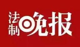 小小如新闻爆料,揭秘娱乐圈最新热点事件